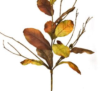 Φύλλα Μανόλιας Καφέ/Πράσινο 60cm