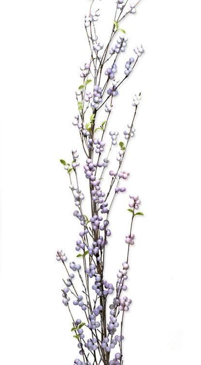 Μεγάλο Κλαρί Berries σε Βιολετί χρώμα 180cm