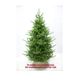 New Mountain tree 180cm