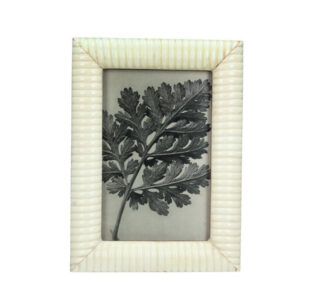 Φωτ/θήκη εκρού από κόκκαλο Buffalo