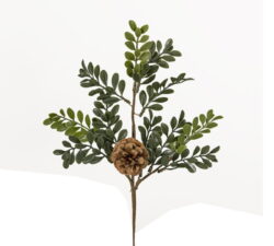 Πικ plastic με φύλλα "Buxus"