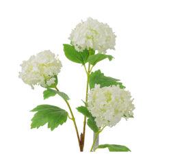 Snowball x 3 άνθη
