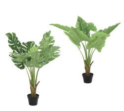 Τεχνητά φυτά monstera & φιλόδενδρο με κασπώ
