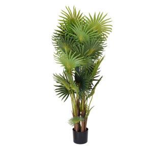 Tεχνητός κινέζικος φοίνικας