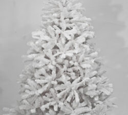 Λευκό Χριστουγεννιάτικο Δέντρο White Pine (1.143 κλ.) 210cm
