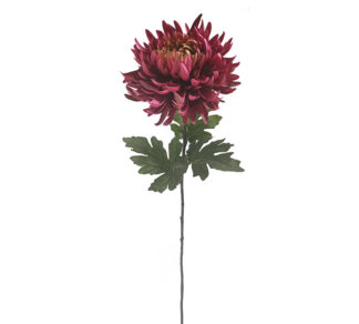 Χρυσάνθεμο"Indian Red" 81cm