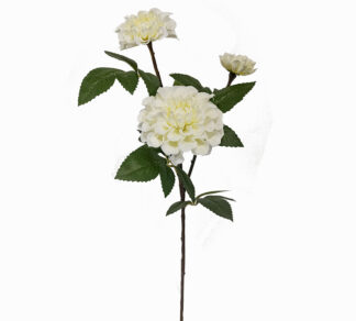 Χρυσάνθεμο με 3 άνθη λευκό