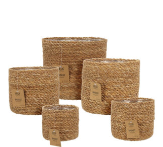 Σετ/5 κασπό Seagrass (με νάυλον) διαμ.12-20cm