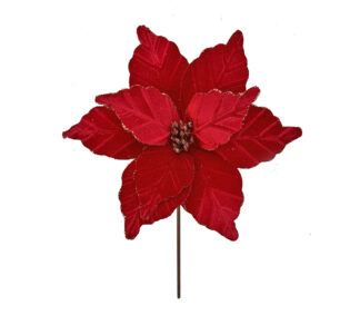 Aλεξανδρινό "Lux" κόκκινο βελούδο