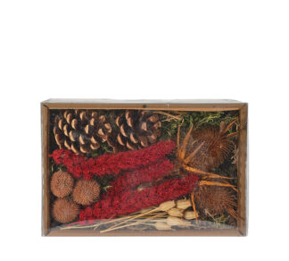 Αποξηραμένα υλικά διακόσμησης σε κουτί (100γρ.)