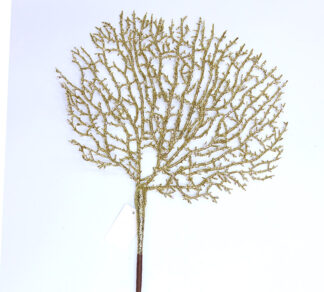 Κλαδί κοράλι σαμπανι 55cm