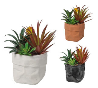 Παχύφυτα σε τσιμεντένιο κασπώ σχ.σακούλα