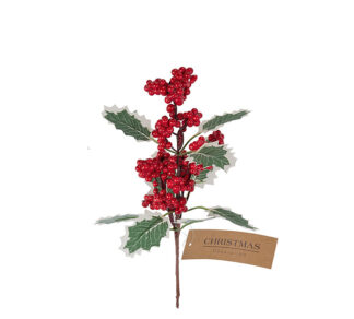 Πικ με κόκκινα berries και φυλλα γκυ