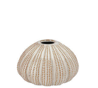 Βάζο σχ.αχινός μπεζ