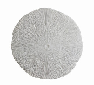 Διακοσμητικο κοράλι τοίχου