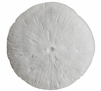 Διακοσμητικο κοράλι τοίχου